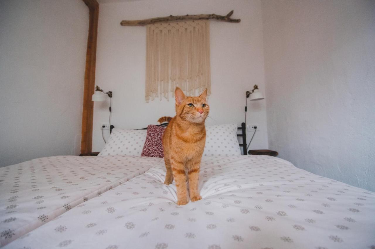 Apartma Cici Kobarid